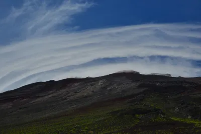 DSC_3643 (Large).JPG